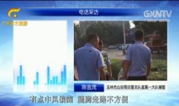 东莞老王先生爆料视频,揭秘背后惊人真相